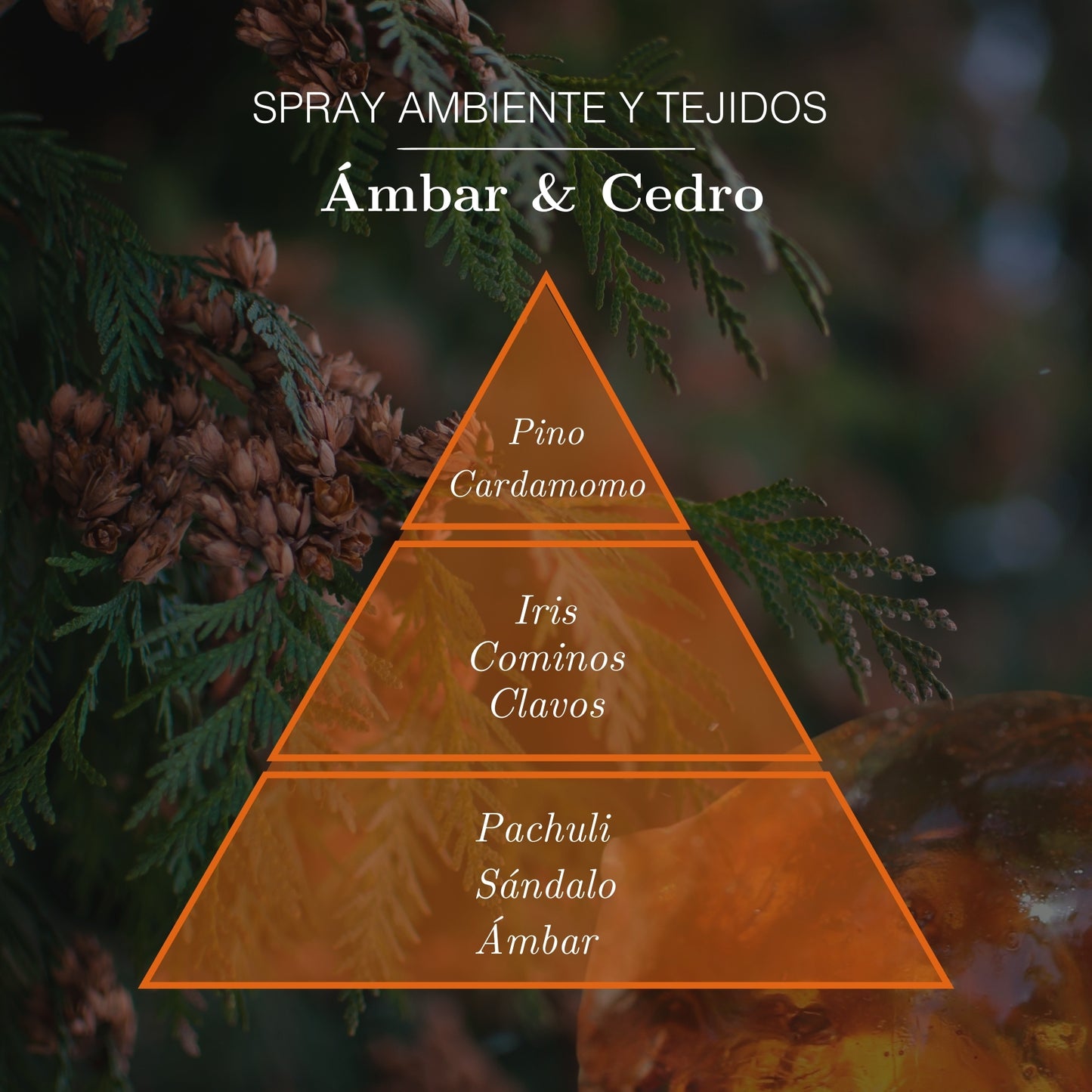 Spray multiusos de ámbar y cedro 225 ml | Ámbar Zen