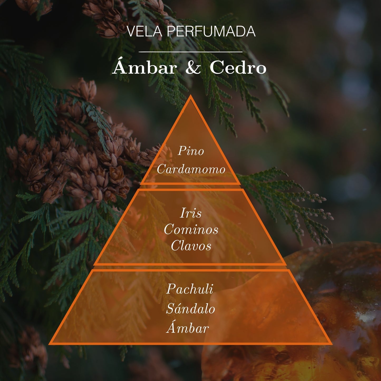 Vela de Ámbar y Cedro 125g | Ámbar Zen