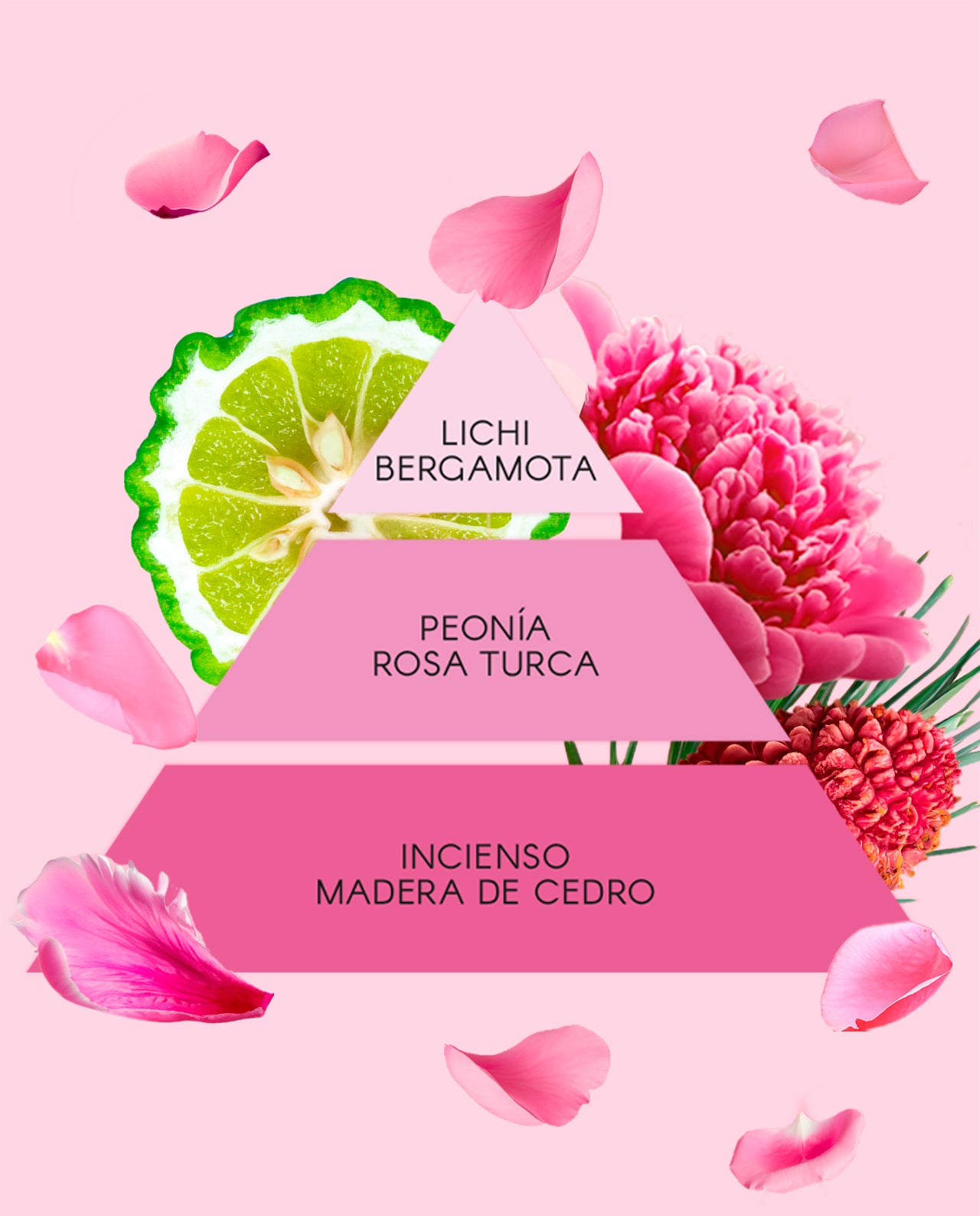 Conjunto La Vie en Rose | Don Algodon