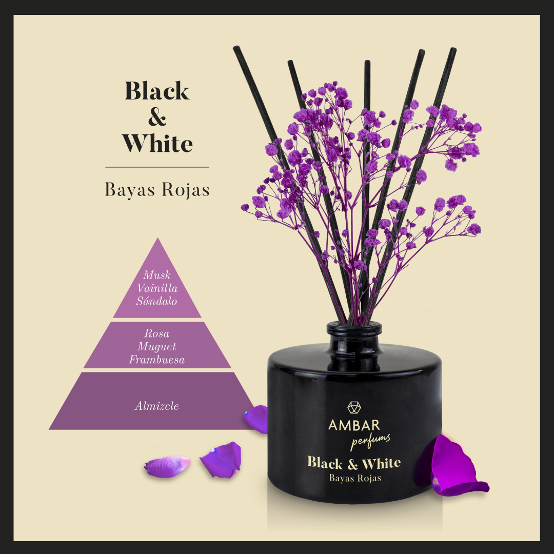 Mikado Blanco y Negro Frutos Rojos 40ml | Ámbar