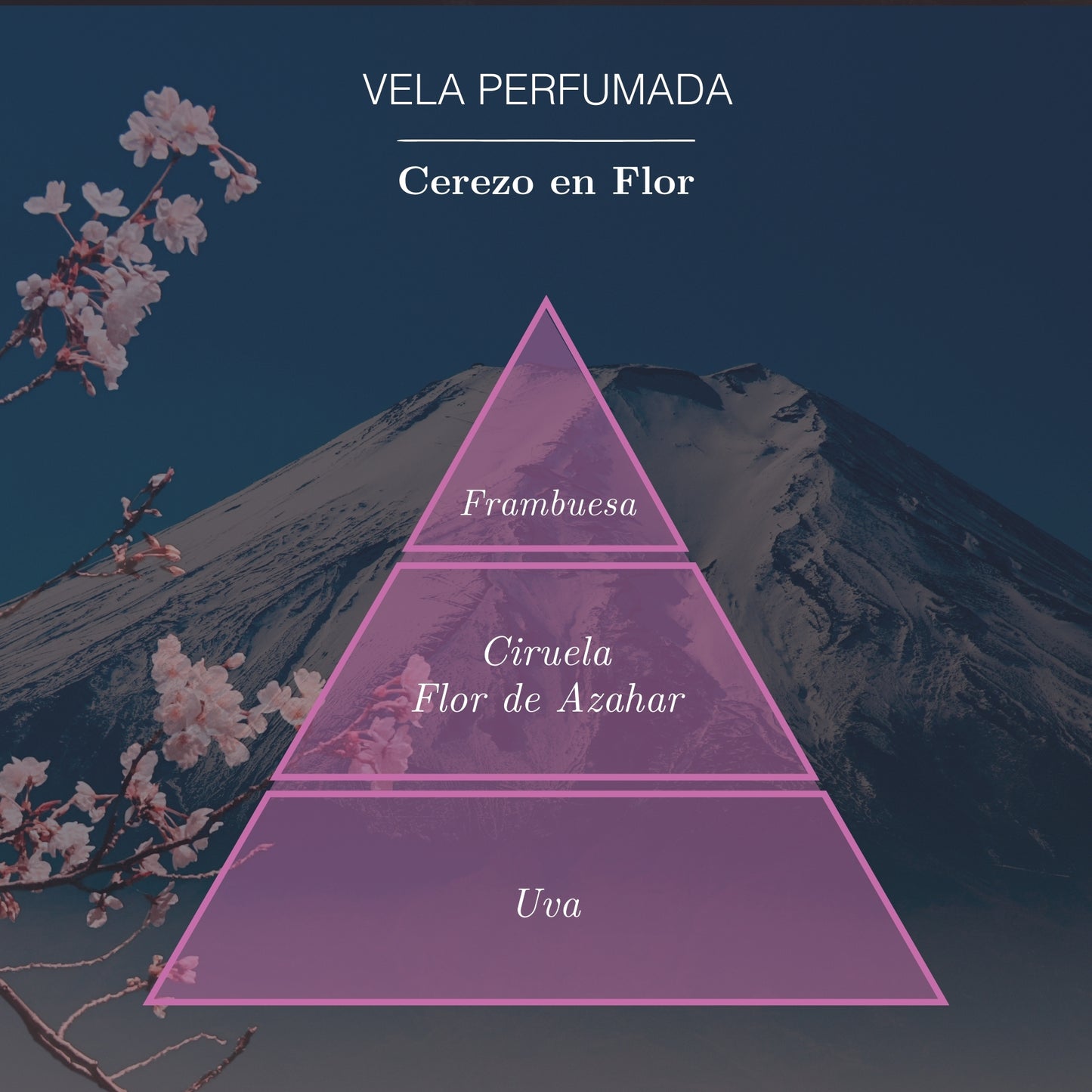 Vela de Flor de Cerezo 125g | Ámbar Zen