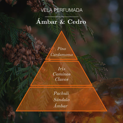 Vela de Ámbar y Cedro 125g | Ámbar Zen
