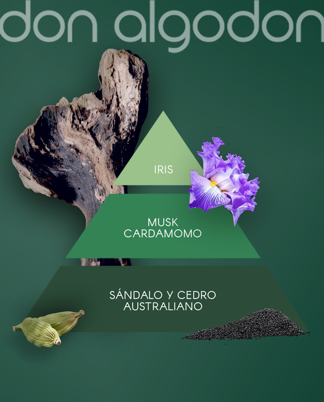 Conjunto LIBERTAD | Don Algodon 