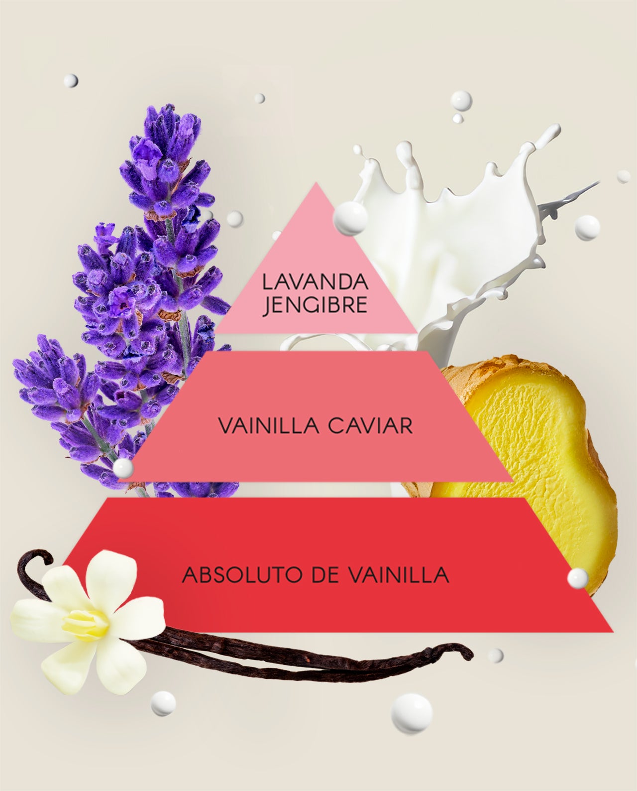 Conjunto PODER FEMENINO | Don Algodon
