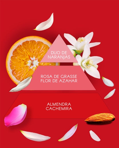 Conjunto FIESTA ROJA | Don Algodon