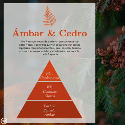 difusor automóvel âmbar cedro
